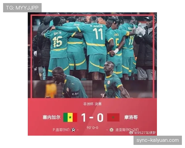 塞内加尔近年国际赛事表现稳定，阵容结构延续非洲球队风格